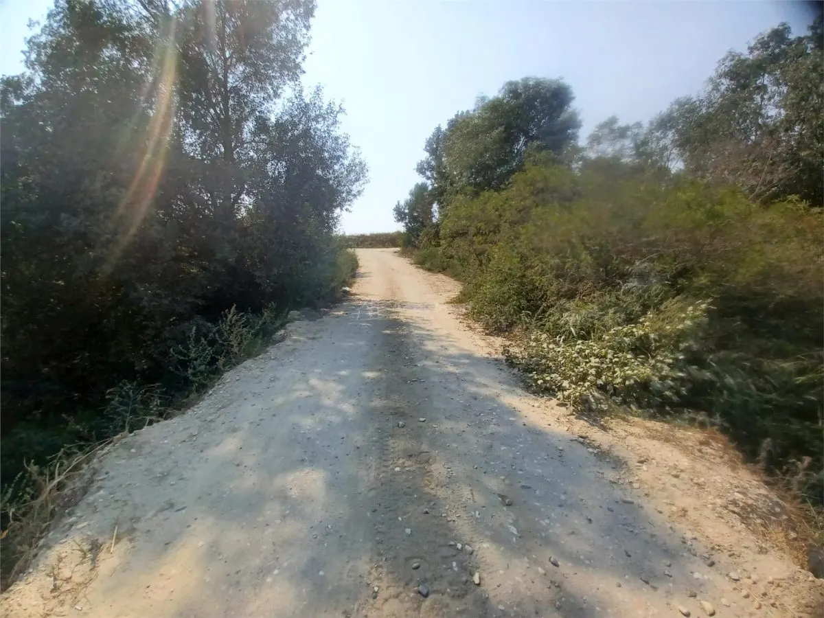 Land for sale 38000 sqm in Adunatii-Copaceni - foto 6