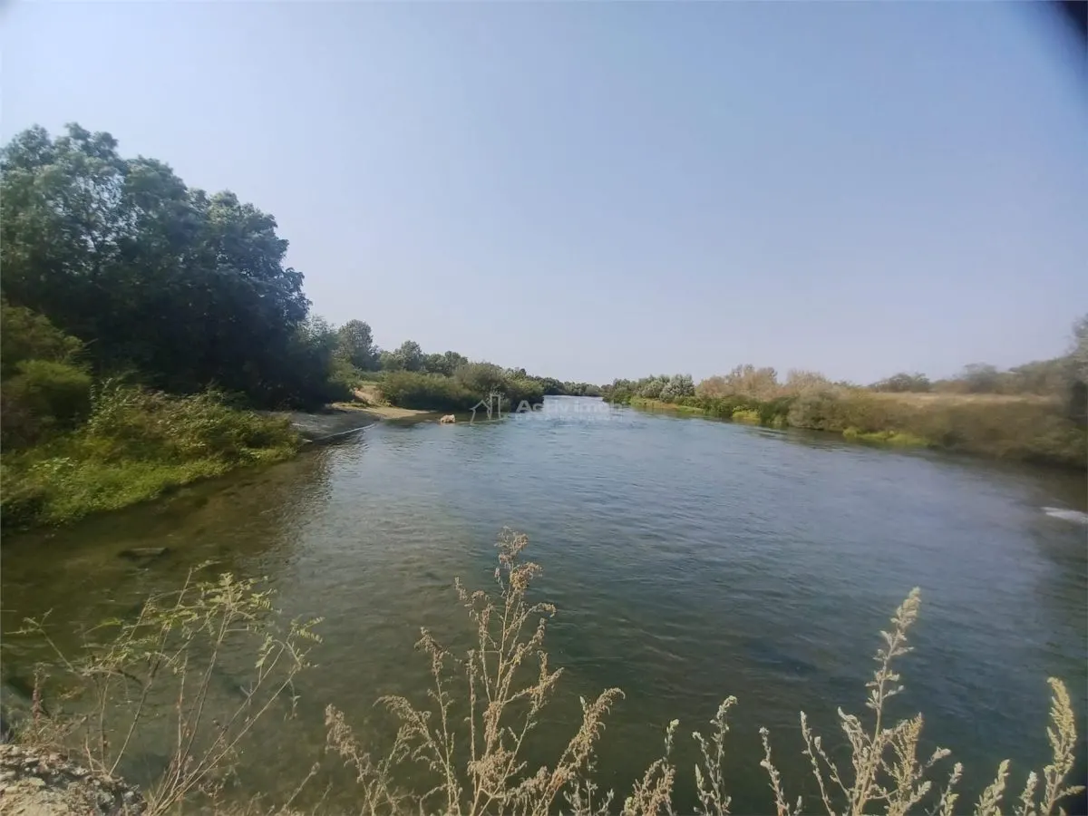 Land for sale 38000 sqm in Adunatii-Copaceni - foto 7