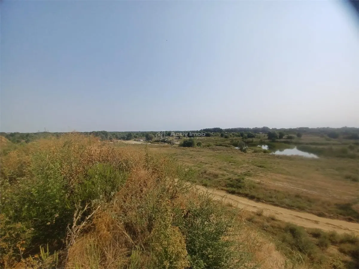 Land for sale 38000 sqm in Adunatii-Copaceni - foto 8