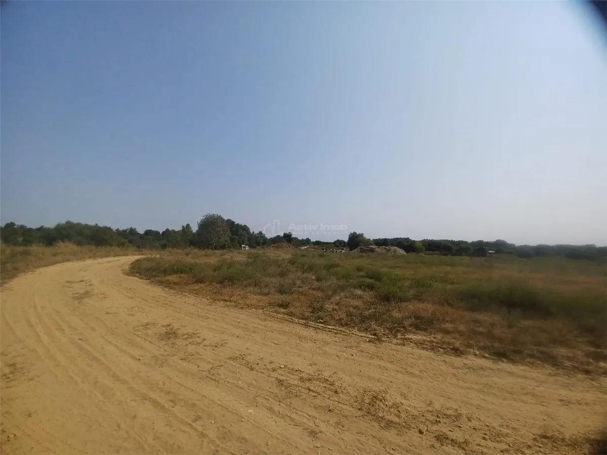 Land for sale 38000 sqm in Adunatii-Copaceni - foto 9