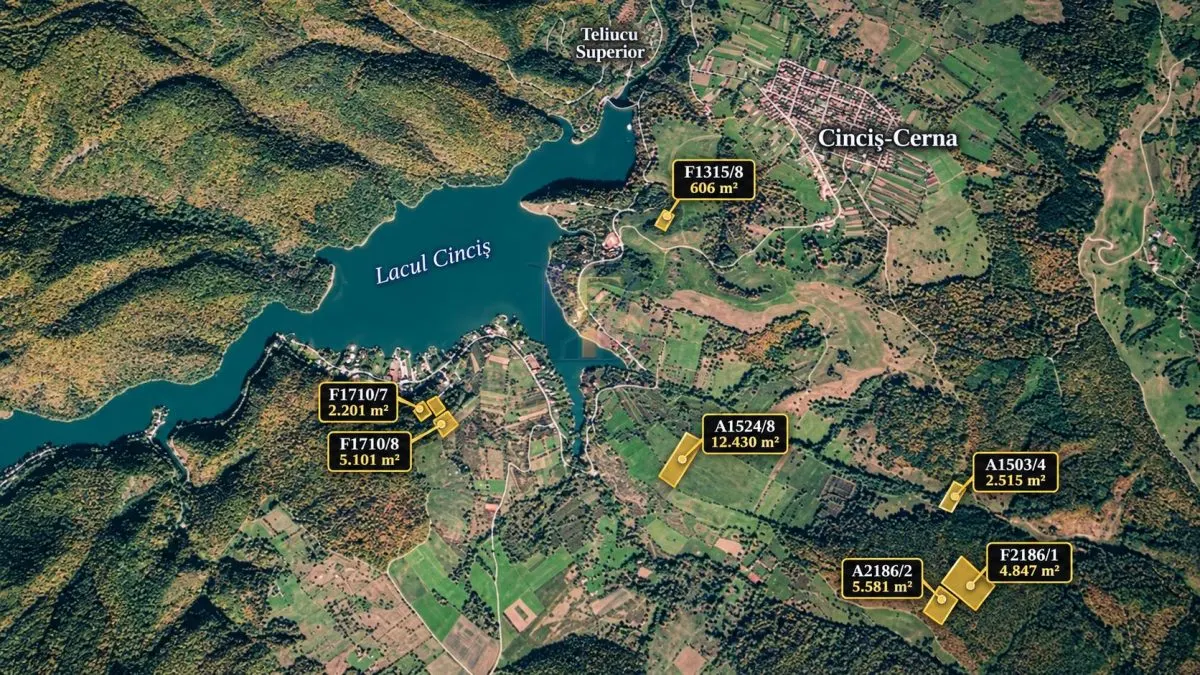 33.281 MP TERENURI – LACUL CINCIS, TELIUCU INFERIOR | VÂNZARE LA PACHET SAU INDIVIDUALA – 98.000 € - foto 2
