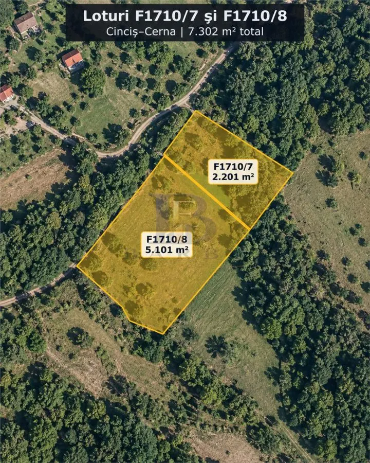33.281 MP TERENURI – LACUL CINCIS, TELIUCU INFERIOR | VÂNZARE LA PACHET SAU INDIVIDUALA – 98.000 € - foto 3