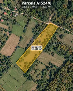 33.281 MP TERENURI – LACUL CINCIS, TELIUCU INFERIOR | VÂNZARE LA PACHET SAU INDIVIDUALA – 98.000 € - foto 4