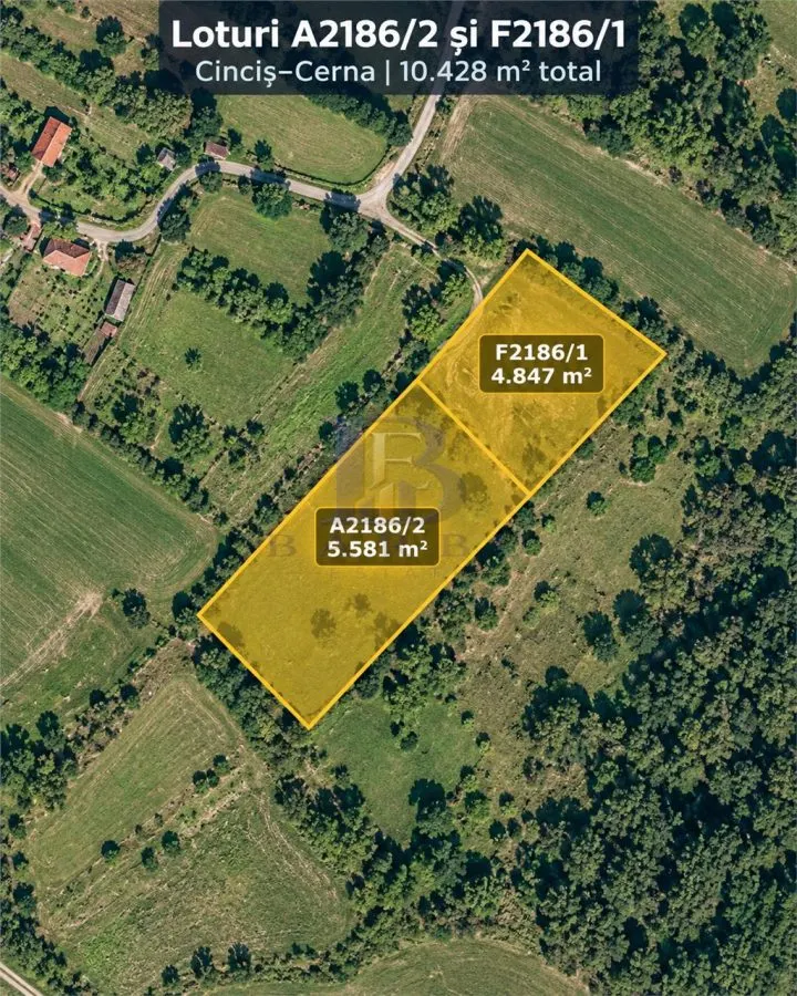 33.281 MP TERENURI – LACUL CINCIS, TELIUCU INFERIOR | VÂNZARE LA PACHET SAU INDIVIDUALA – 98.000 € - foto 5