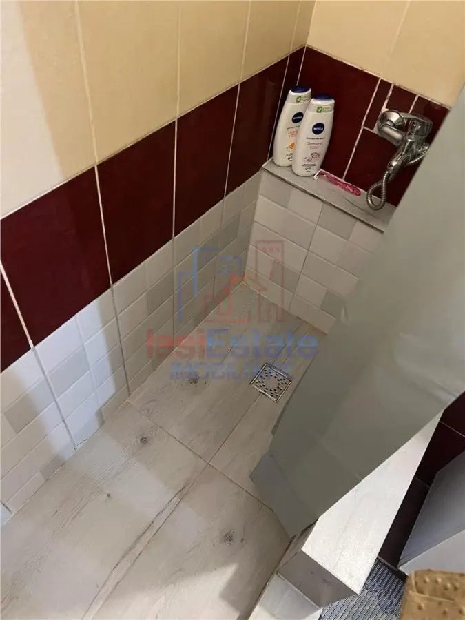 Apartament 2 camere Ultracentral, langa Palas - foto 4