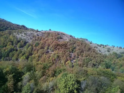 Teren in Apuseni Valisoara - foto 2