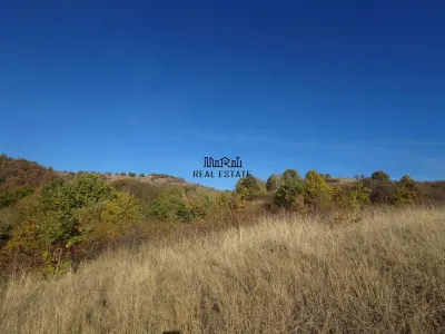 Teren in Apuseni Valisoara - foto 14