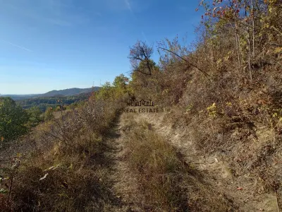 Teren in Apuseni Valisoara - foto 18