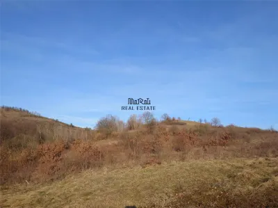 Teren in Apuseni Valisoara - foto 4