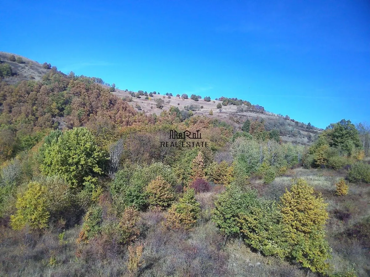 Teren in Apuseni Valisoara - foto 5