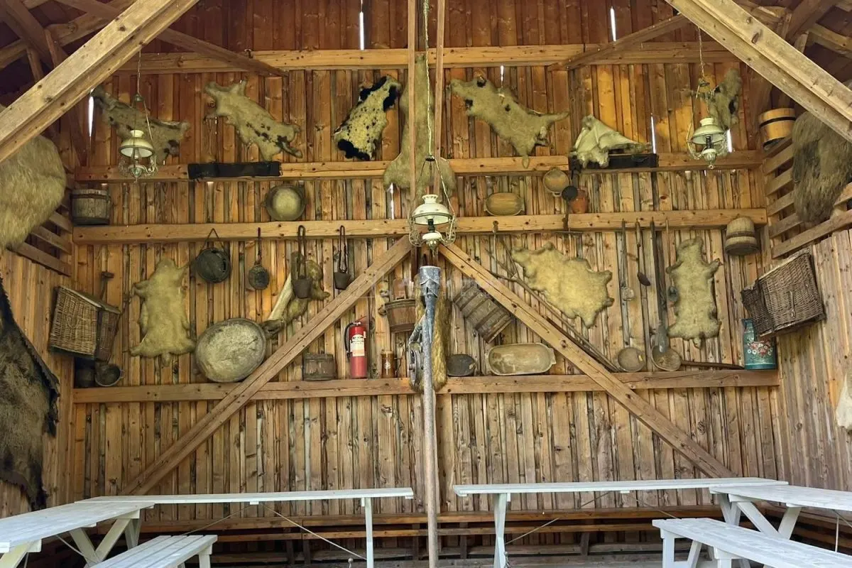 Han Dracula - Sighisoara, Danes - foto 16