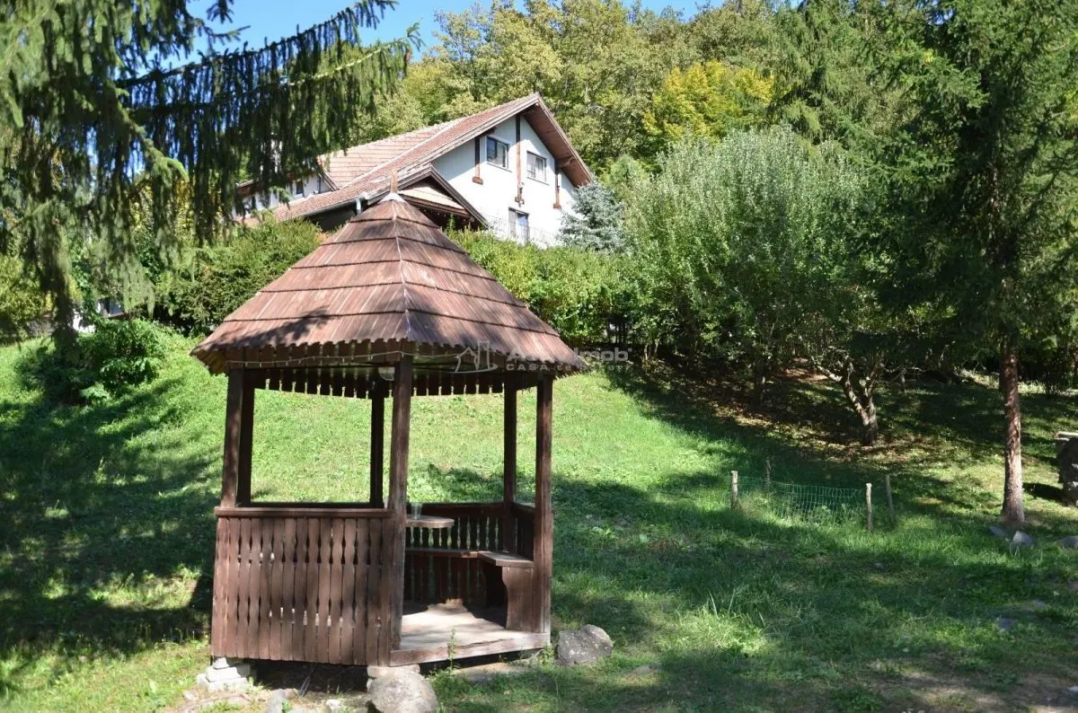 Han Dracula - Sighisoara, Danes - foto 3