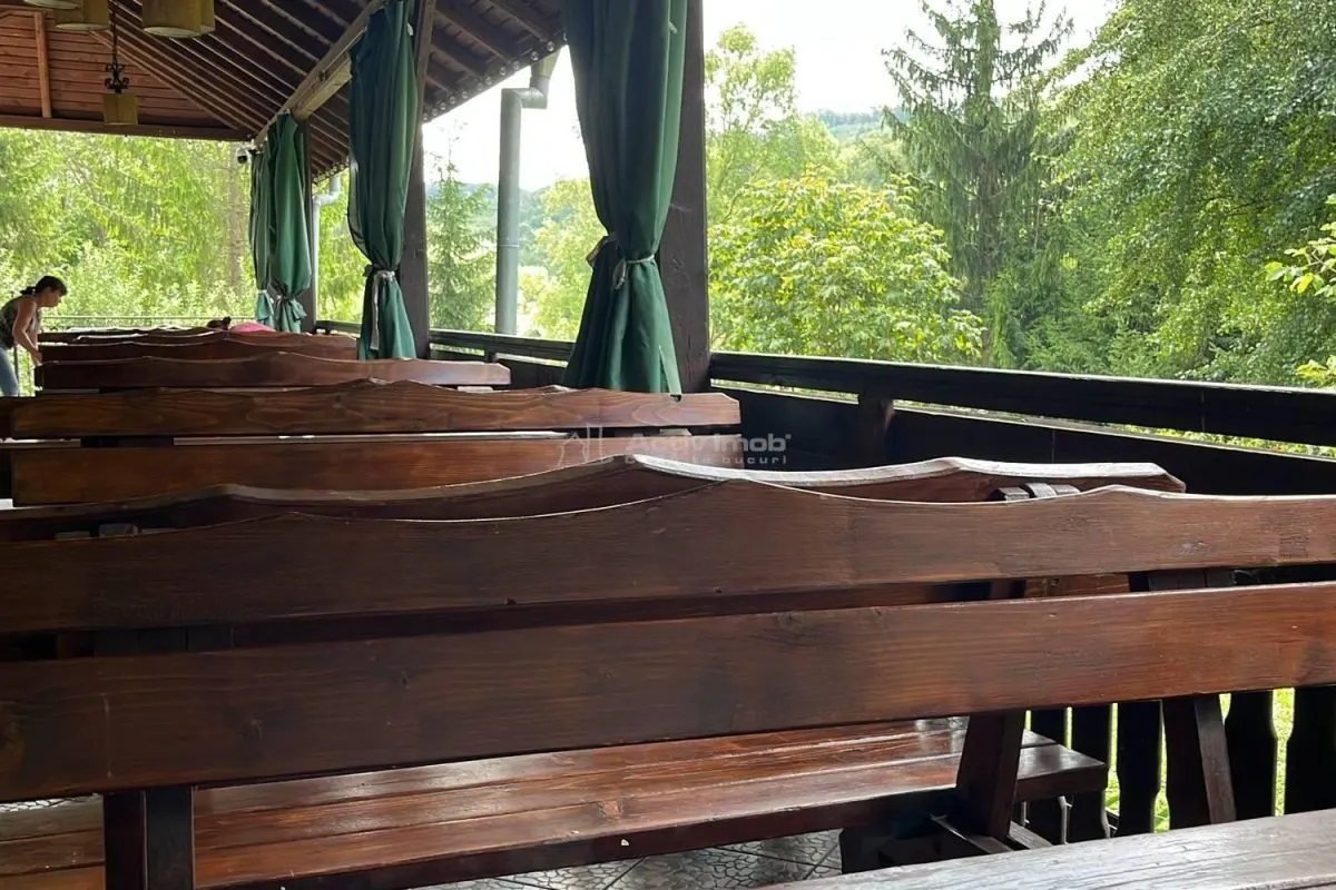 Han Dracula - Sighisoara, Danes - foto 10