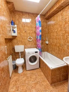 Apartament de vanzare la mansarda cu balcon Terezian - foto 10
