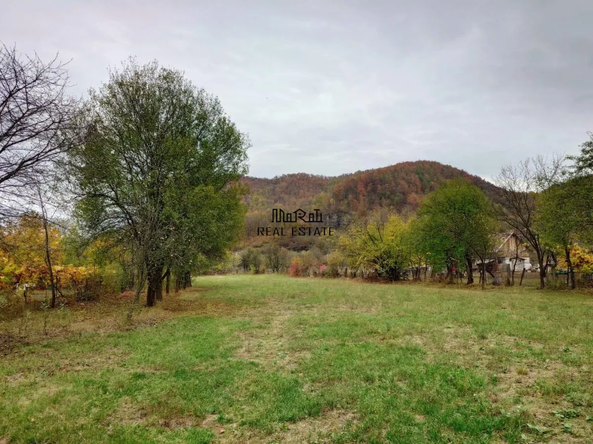 Teren intravilan 2500mp Criscior - foto 1