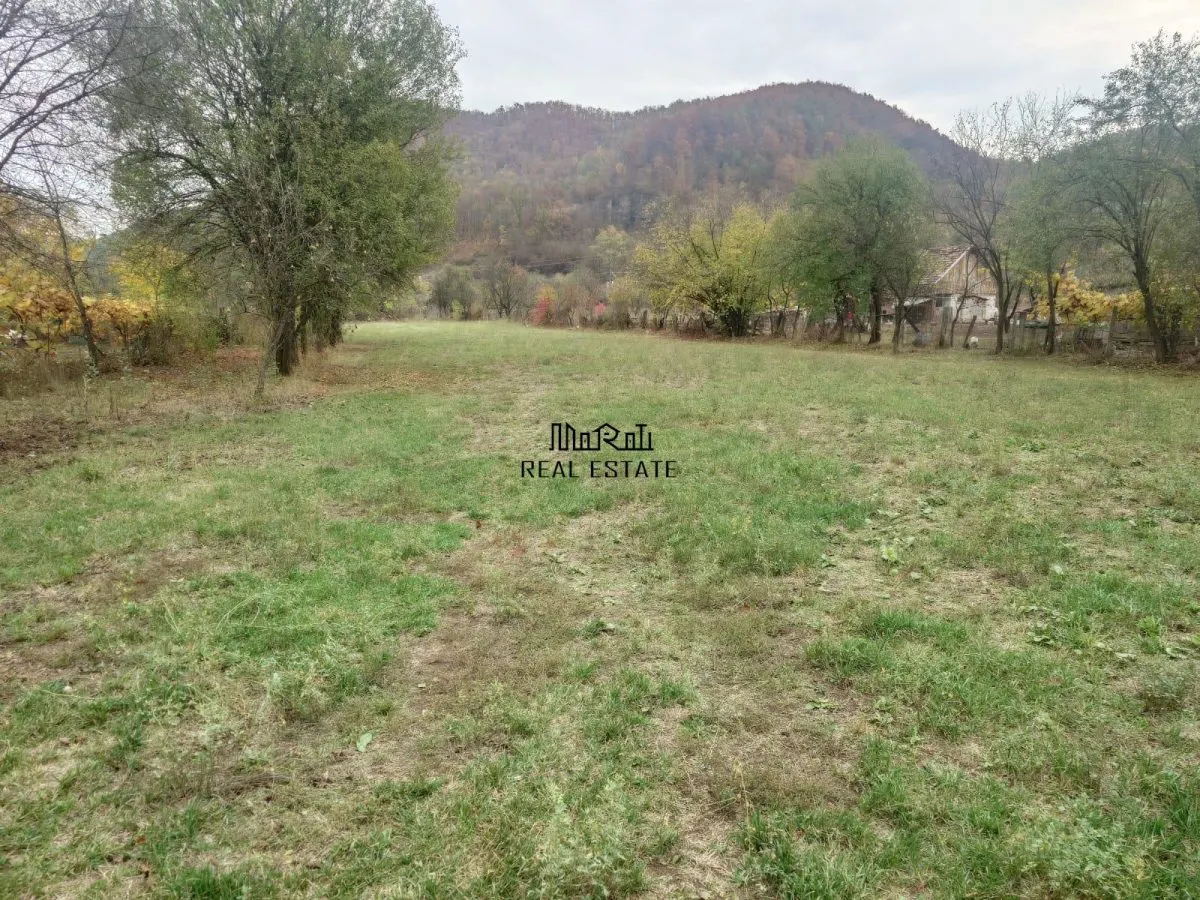 Teren intravilan 2500mp Criscior - foto 15
