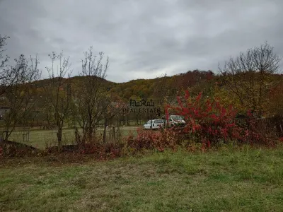 Teren intravilan 2500mp Criscior - foto 18