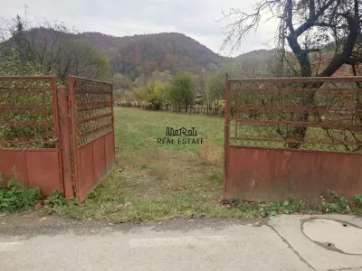 Teren intravilan 2500mp Criscior - foto 4