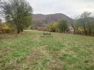 Teren intravilan 2500mp Criscior - foto 10