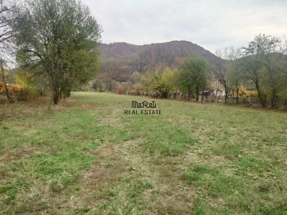 Teren intravilan 2500mp Criscior - foto 10