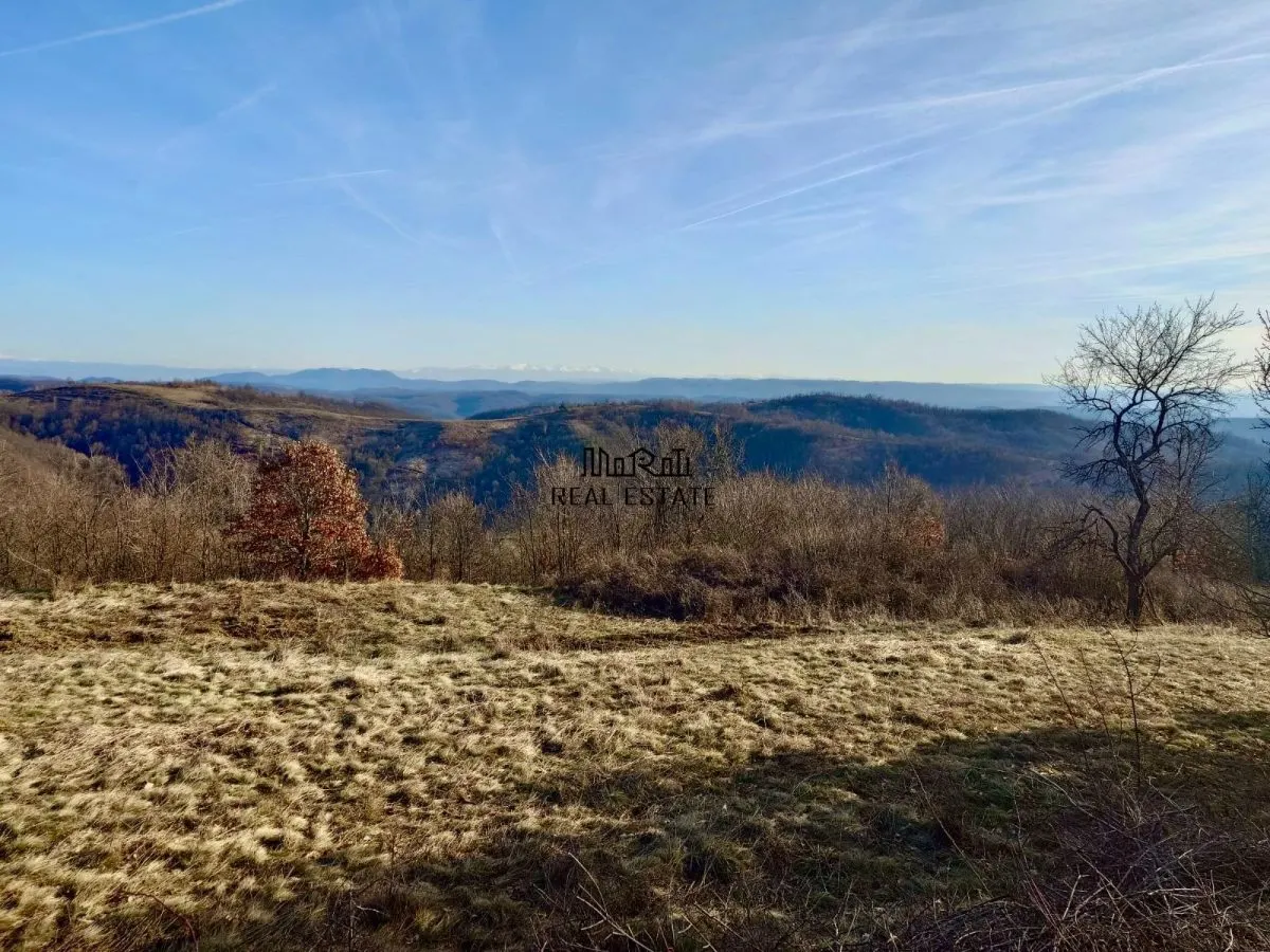 Teren in Apuseni Valisoara Dealu Mare - foto 1