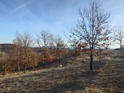 Teren in Apuseni Valisoara Dealu Mare - foto 2