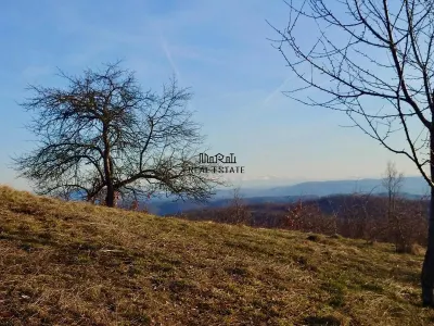 Teren in Apuseni Valisoara Dealu Mare - foto 4