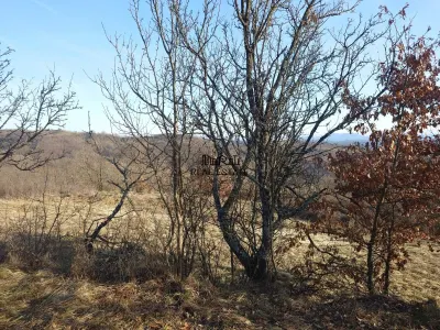 Teren in Apuseni Valisoara Dealu Mare - foto 5